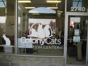 Front Window of Colony Cats New Adoption Center