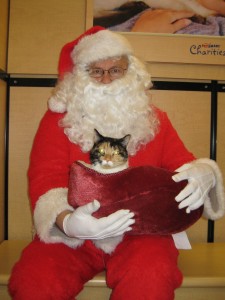 Queen Jezebelle commands Santa to do her bidding!